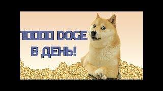 Dogecoin каждую секунду! Смотреть до конца!