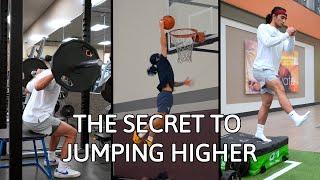 The SECRET To Increasing Your Vertical