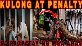 PENALTY AT PAGKAKAKULONG PAG PUMAT@Y KA NG AHAS? #cobraprince #cobraking #murliwalehausla #baitan