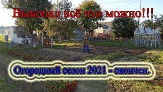 Окончание огородного сезона 2021. Что выросло у нашей тыквы гиганта! Модернизация выгула для кур.