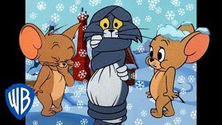 Tom und Jerry auf Deutsch  | Willkommen im Winterwunderland! ️ | WB Kids