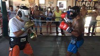 LEGENDS!! Roberto Duran & Shane Mosley SPARRING 2016 (April)