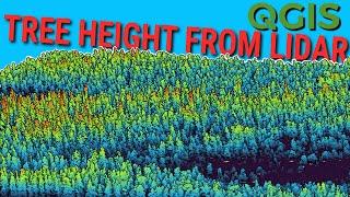 Tree Heights from Lidar with QGIS (Create a Canopy Height Model)