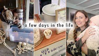 VLOG: estate sales, holiday event & welcoming the new season