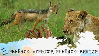 РЕБЕНОК-АГРЕССОР, РЕБЕНОК-ВИКТИМ