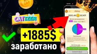 +1885$ заработано в catizen  - Как заработать аирдроп и когда будет листинг в катизен