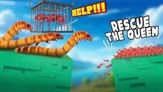 Rescue the Queen  The Rufipes Ants Face Off Against the Giant Dragon Grub! ANTTREK