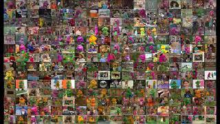 Barney and Friends (1992 - 2010) - 252 episodes at the same time! (full length) [4K]