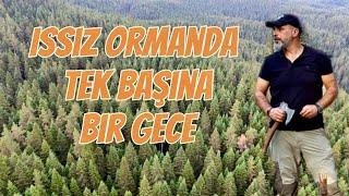 A camping night alone in a deserted forest ( ıssız ormanda bir gece )