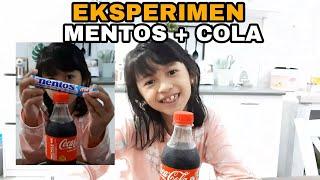 EKSPERIMEN MENTOS + COLA, YUK COBAIN !!!!!!!