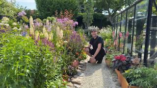 20 Flowers That Bloom in June | Perennials (& Biennials) for Summer Color | Perennial Garden