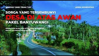 SORGA YANG TERSEMBUNYI DESA DIATAS AWAN BANYUWANGI I KEHIDUPAN DI PEDESAAN TERPENCIL DI LERENG BUKIT