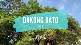 V13 | The Legendary Dakong Bato