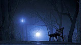 FH360 - Deep Night [Official Music]