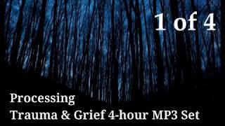 Processing Trauma and Grief Sessions 1 of 4