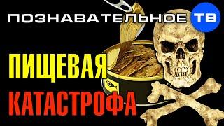 Что мы едим? ПИЩЕВАЯ КАТАСТРОФА (Познавательное ТВ, Виктория Бутенко)