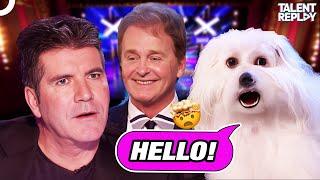 The Talking Dog Surprised Simon! | Britain's Got Talent