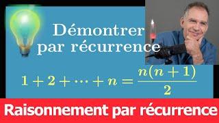 Comprendre le raisonnement par récurrence  Cours + Exemple détaillé  Terminale spé maths