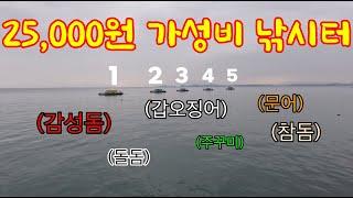 1박2일 25,000원?! 안 잡히는 게 없는 가성비 낚시터! 잡자마자 바로 먹을 수 있는 자연산 술안주가 버글버글 하다~