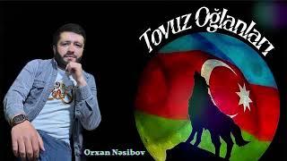 Orxan Nesibov - Tovuz Oglanlari