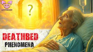 Dying People See THIS Before They Go… Doctors Can’t Explain It
