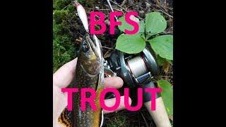 BFS Trout Fishing Part 2, The Stream