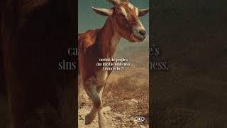 Jesus, the Lamb of God - John 1:29