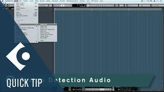 Tempo Detection Audio | Audio Editing and Warping