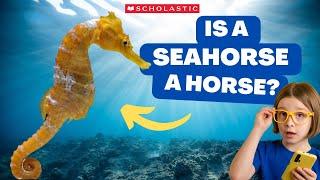 SEAHORSE   Facts for Kids | A SEAHORSE Can Lay Hundreds of EGGS 