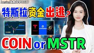 股票|美股|美股分析|特斯拉60min有资金出逃吗？加密货币中，选COIN or MSTR？COIN是稳定币法案最直接的受益者？#MSTR#TSLA#COIN