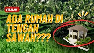 VIRALL RUMAH DI SAWAH TARIKOLOT!!! Dengan suasana pesawahan dan pegunungan  yang sangat sejuk