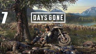 Прохождение Days Gone — Часть 7: Всё было бесполезно