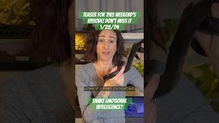 Teaser: do snakes have feelings?? Find out what we do/don’t know about their emotional intelligence