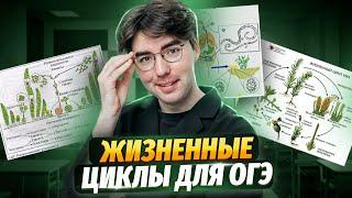 Жизненные циклы для ОГЭ | Биология ОГЭ | Умскул