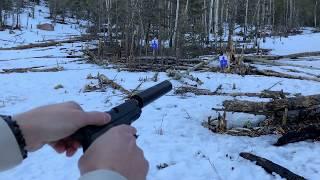Suppressed Firearms:  SIG P220 & Silencerco Octane 45 HD