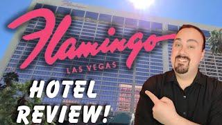 Watch THIS Before Staying at The FLAMINGO Hotel in Las Vegas!