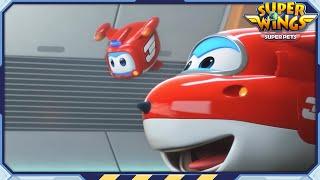 [SUPERWINGS] Superwings5 Superwings SuperPets! Full Episodes Live 