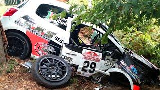 BEST OF RALLY 2015 CRASH MISTAKES AND SHOW !!!