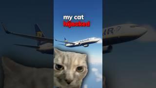 My Cat Hijacked My Airplane ️