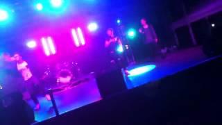 The Collective - Ipswich Show