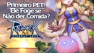 Ragnarok M Eternal Love : Como Conseguir o 1° Pet? Sem Comida Ele Foge? Como Ganhar Intimidade!