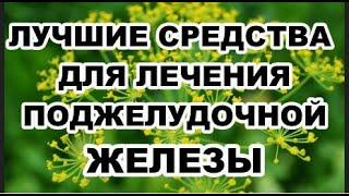 Лучшие средства для лечения поджелудочной железы