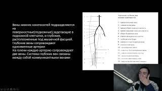 Ультразвуковое исследование вен нижних конечностей(норма и патология)