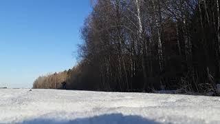 Самая заключительная (3 апреля 2019)