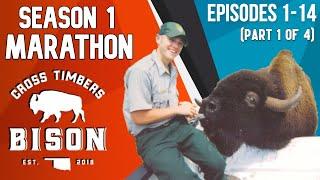 Cross Timbers Bison: SEASON 1 MARATHON! (Part 1 of 4)