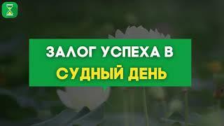 Здравое сердце и правдивый язык - залог успеха в Судный День | Шейх Абу Яхья