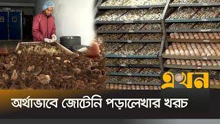 সরকারি চাকুরি ছেড়ে সফল খামারি | Bogura News | Ekhon TV