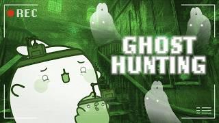 Ghost Hunting with Molang and Piu Piu  | Paranormal Investigation
