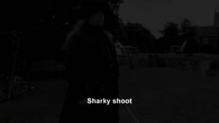 Sharky shoot