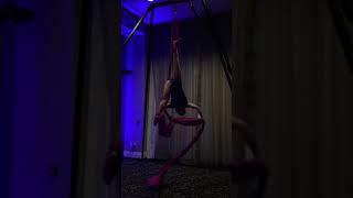 Dragonfly Aerial Company-Danni Maxwell COPPR Artini silks  Sing Sing Sing
